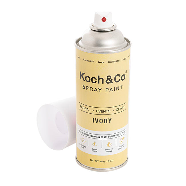 Sundries - Spray Paint