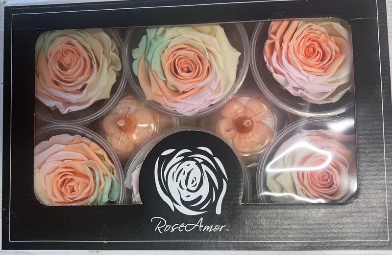 Rose Heads