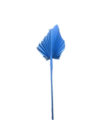 Palm Spear