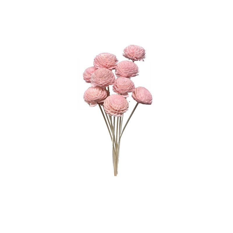 Sola Flowers
