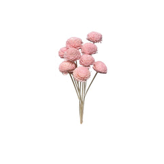 Sola Flowers
