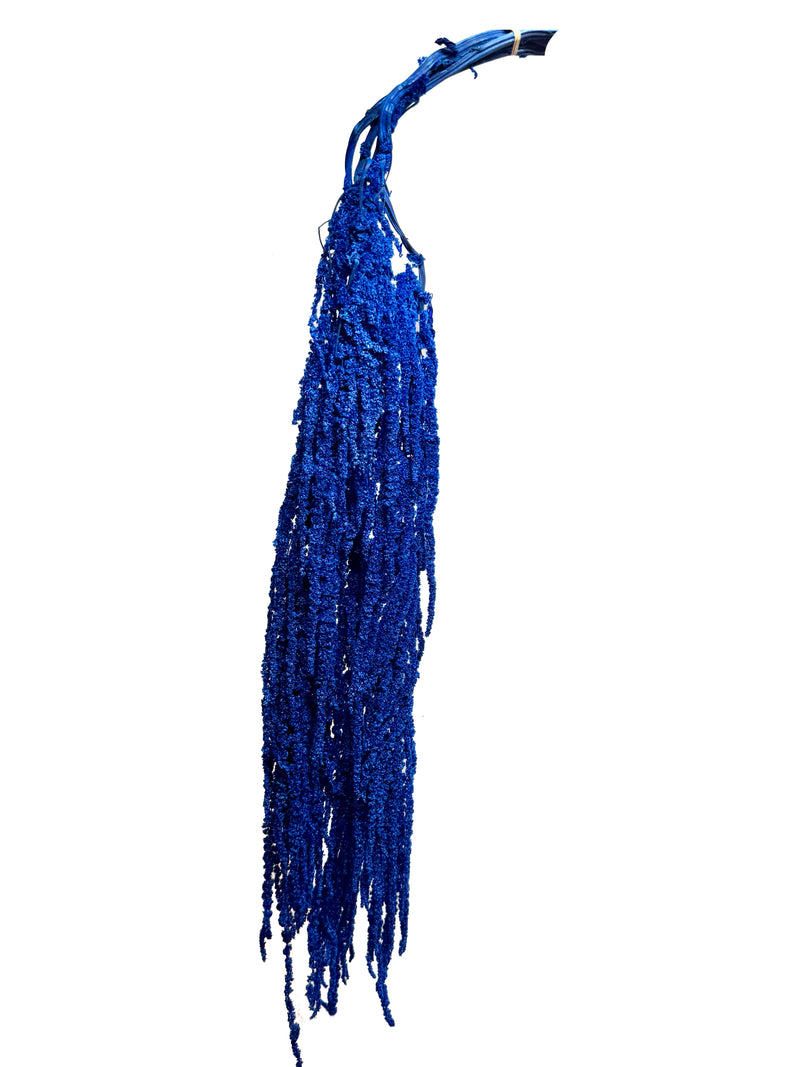 Amaranthus