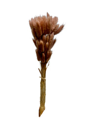 Bunny Tails