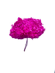 Hydrangea Standard