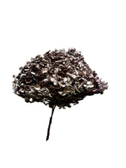 Hydrangea Standard