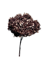 Hydrangea Standard
