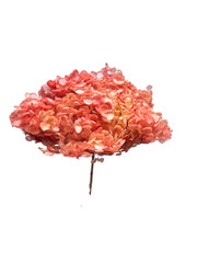 Hydrangea Standard
