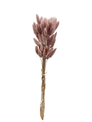 Bunny Tails
