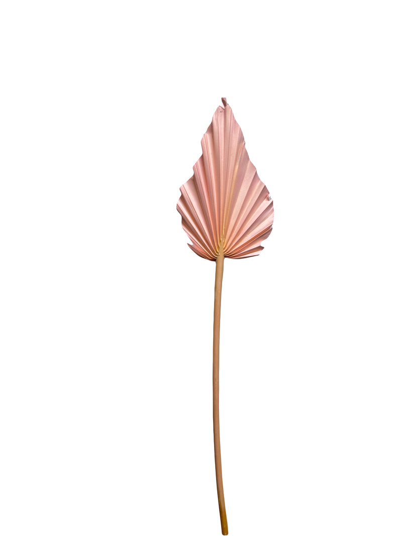 Palm Spear