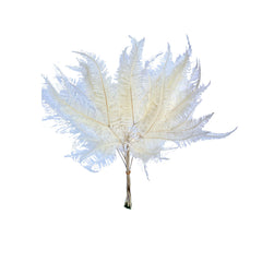 Mountain Fern