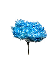 Hydrangea Standard