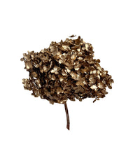 Hydrangea Standard