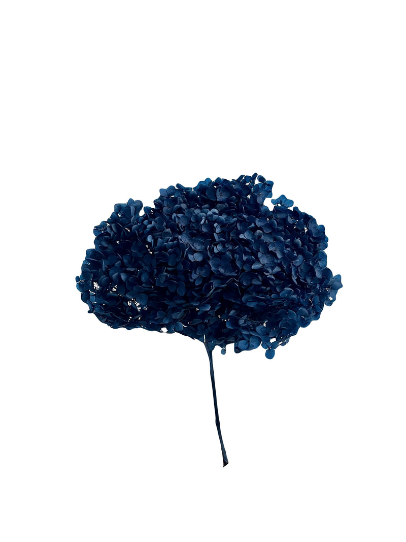 Hydrangea Standard
