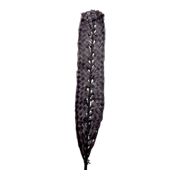 Kejur Leaf