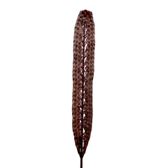 Kejur Leaf