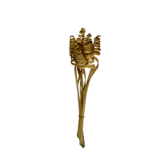 Palm Cane Coil