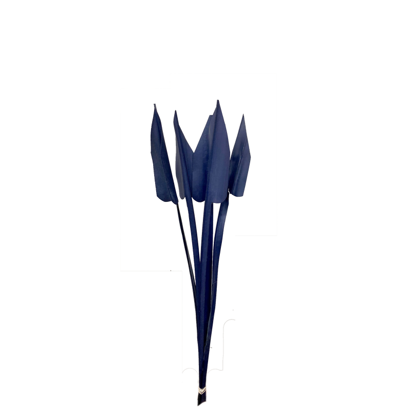 Arrow Palm
