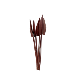 Arrow Palm