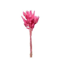 Bunny Tails
