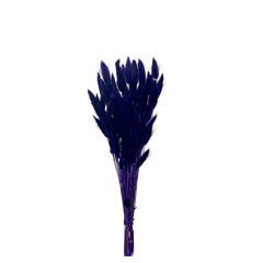 Bunny Tails