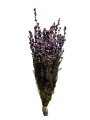 Tea Tree