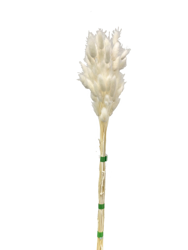 Bunny Tails