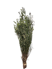 Tea Tree