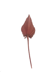 Palm Spear