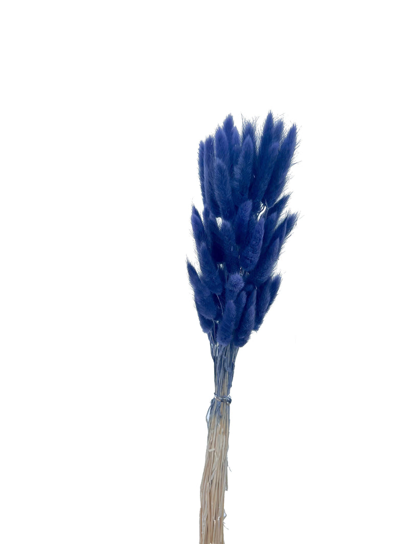 Bunny Tails