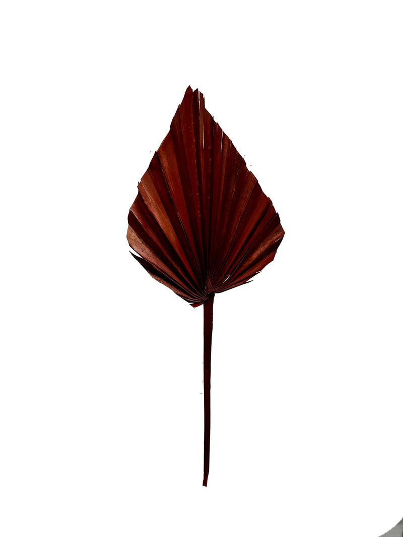 Palm Spear