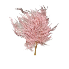 Leather Fern