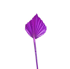 Palm Spear