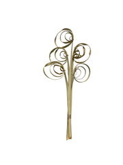 Palm Cane Coil