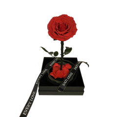 Rose Domes
